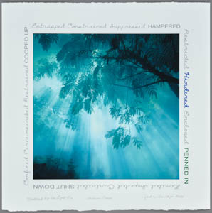 Print of rays of light filtering through blue smoke under a tree, ringed with handwritten text