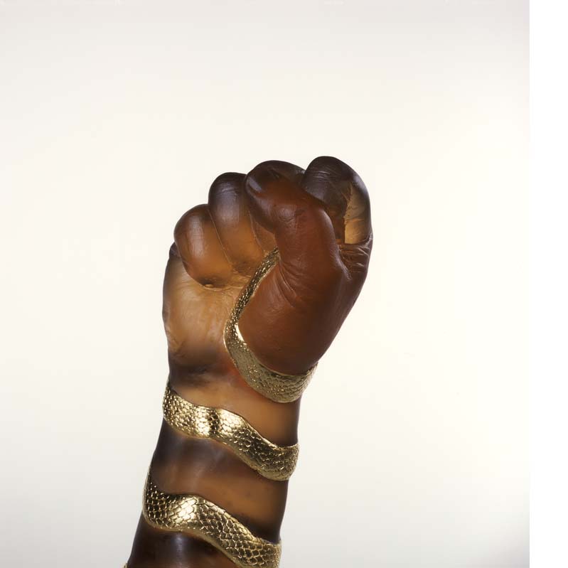 Sculpture of a translucent brown raised fist with a metallic gold snake coiled around it