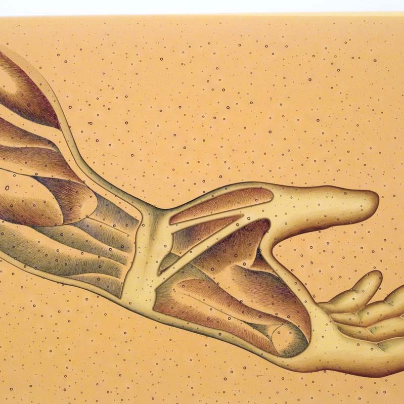 Painting of an outstretched hand in brown and beige with exposed musculature