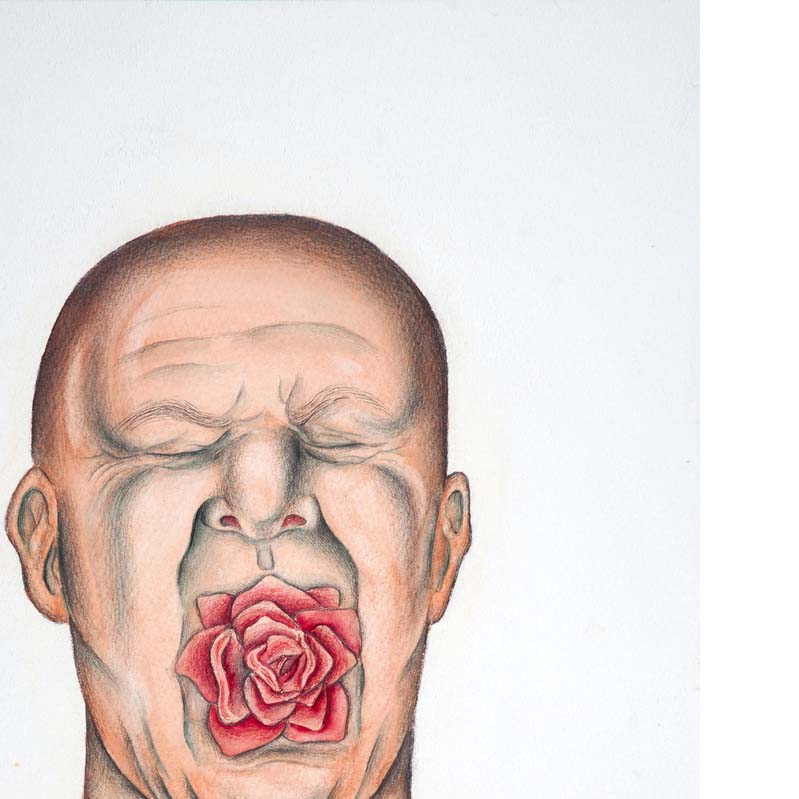 Drawing in shades of pink and black of a man's face with his eyes closed and a flower in his mouth