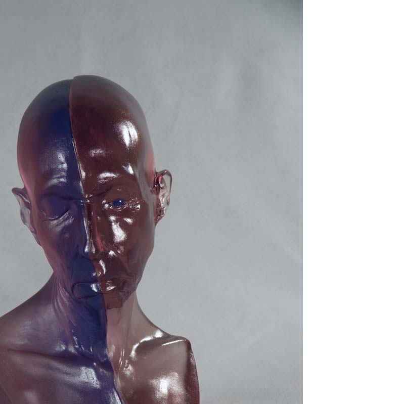 Sculpture of a translucent purple bald head divided vertically in half One half is more translucent