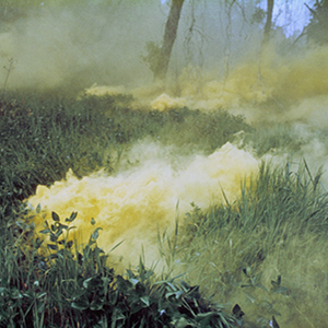 Color photograph of yellow plumes of smoke rising amid green grass