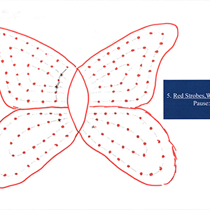 Drawing of a red butterfly outline filled with red dots and with annotations in white text in a blue box on the right