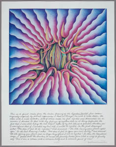 Print with a multicolored, vulva-like shape in the center surrounded by thin, red and blue tendrils in a square above handwritten text in black