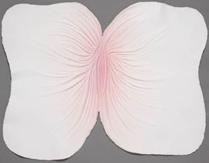 Painting of a pink, vulva-like shape with a large, white, wrinkled lobe on either side