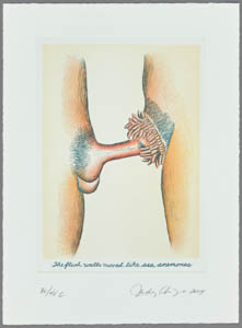 Print of a penis penetrating a vulva-like orifice ringed with small pink petals
