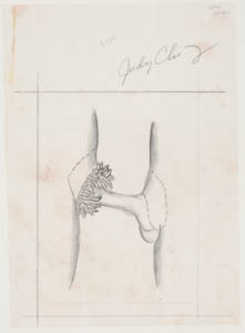 Black-and-white drawing of a penis entering a vulva ringed with small, protruding, petal-like shapes