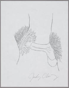 Black-and-white drawing of a penis penetrating a vulva framed by small petals