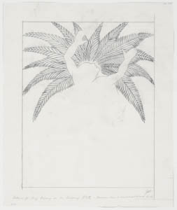 Black-and-white drawing of a human head and raised arms against the leaves of a palm tree