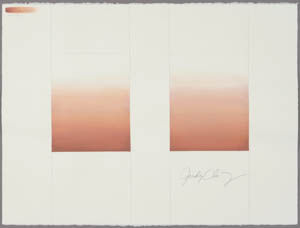 Drawing of two rectangles side by side with rust to white gradients