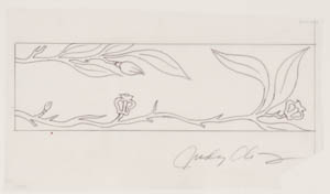 Black-and-white drawing of a horizontal panel with vegetation and flowers trailing across it