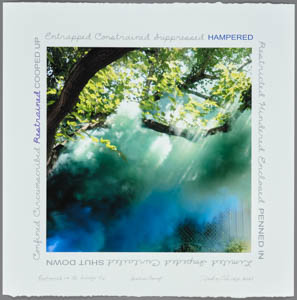 Print of green and blue smoke rising around trees in a garden, ringed with handwritten text