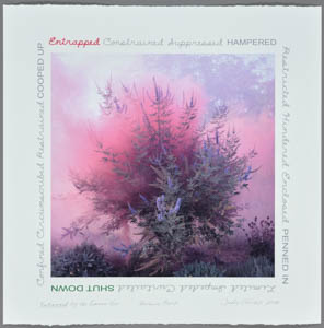 Print of pink smoke rising around a bush, ringed with handwritten text