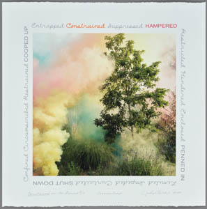 Print of multicolored pastel smoke rising around a tree in a garden, ringed with handwritten text