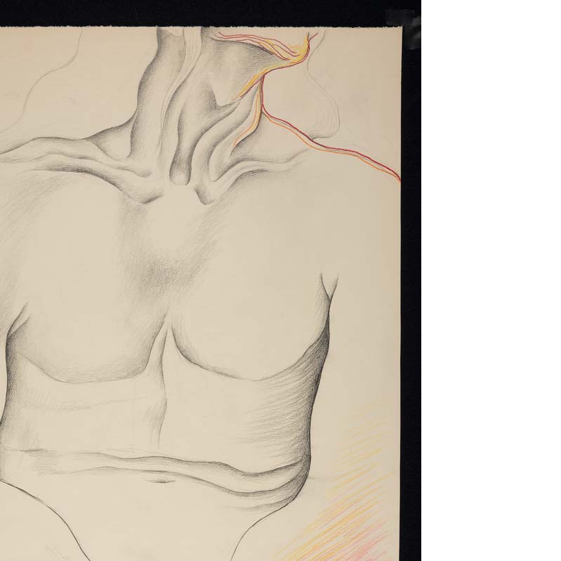 Drawing in gray and rainbow colors of a nude man with his hands crossed in his lap