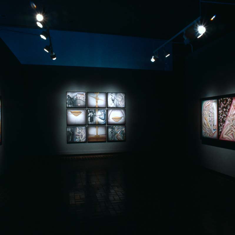 Color photograph of multi-paneled artworks installed on the walls of a darkened gallery