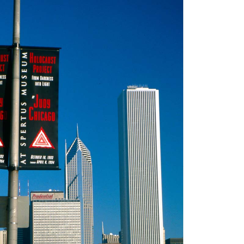 Color photograph of banners installed on lightposts with tall buildings in the background