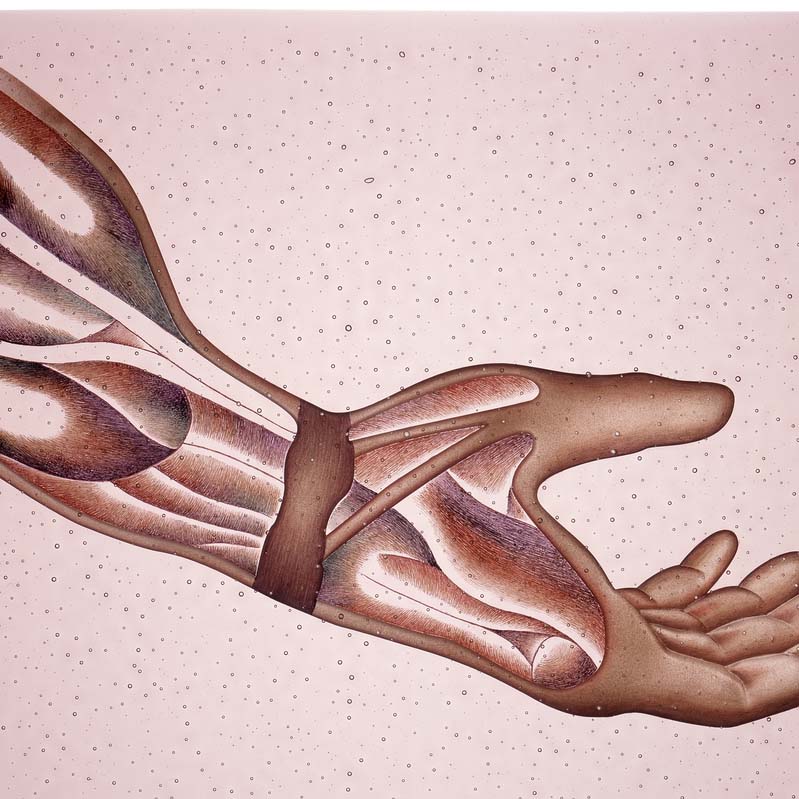 Painting in pink, brown, and white of an outstretched hand with exposed musculature