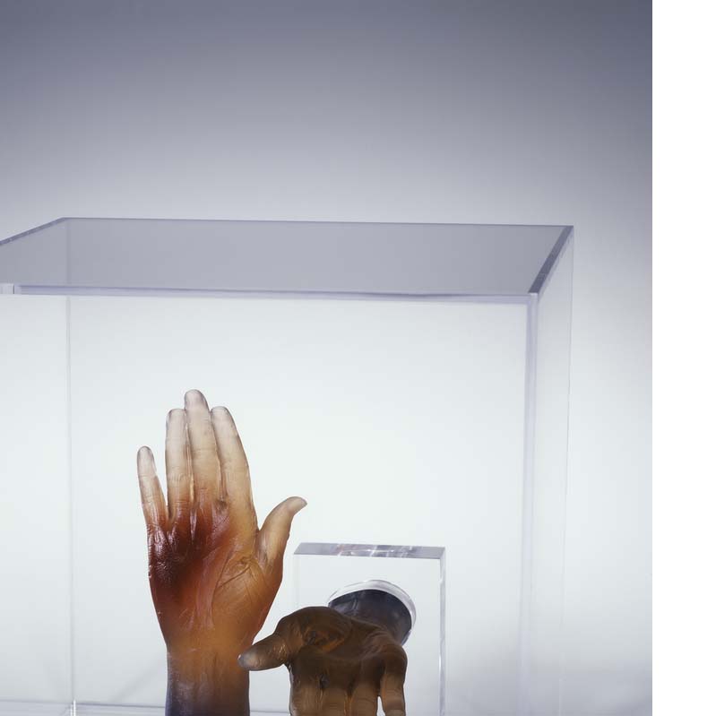 Sculpture of two hands in earth tones on a clear plinth enclosed in a clear box where one is reaching upward and the other is extending toward the viewer