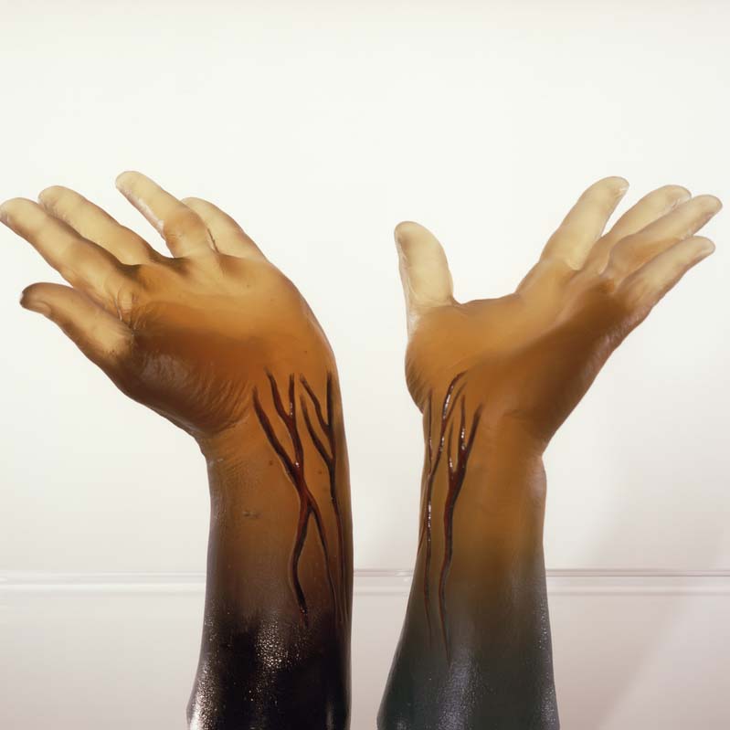 Sculpture of two translucent, light brown raised hands with exposed blood vessels on a clear plinth