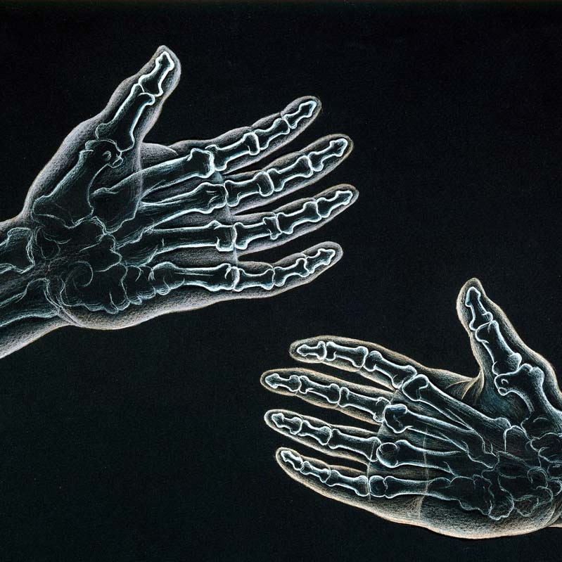 Drawing in white on black of two hands with exposed bones reaching toward each other