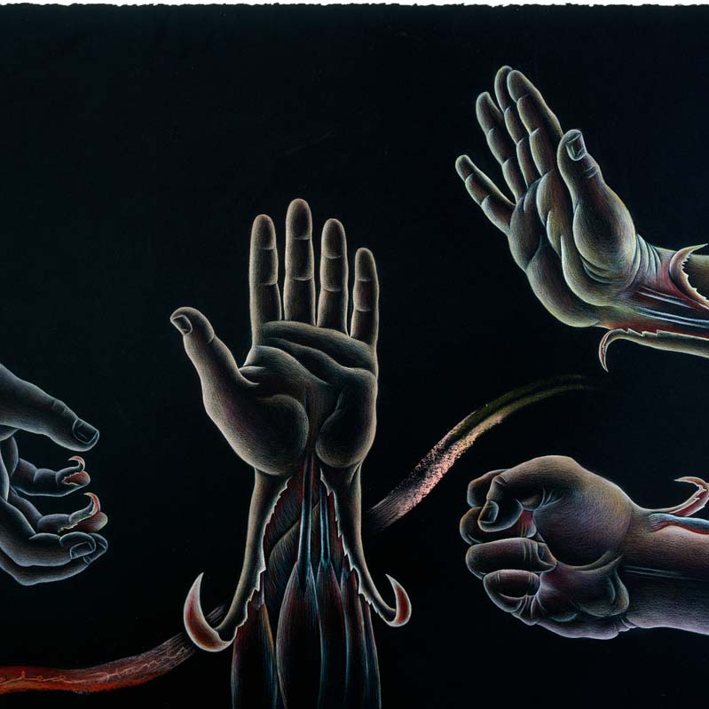 Drawing in multiple colors on black of four hands in various poses with peeling skin