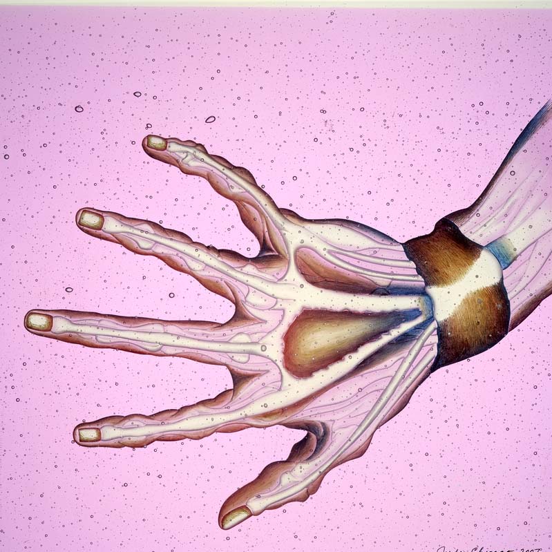Painting of an outstretched hand in brown, blue, and white on pink with exposed bones and musculature