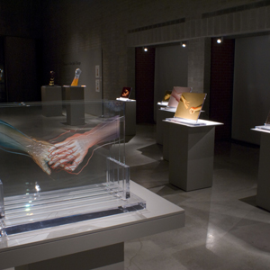 A view of an art gallery with exhibits of glass sculptures by Judy Chicago