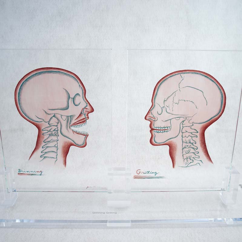 Two pink, black, and red paintings of skulls in profile on clear glass rectangles on a clear glass plinth where one skull has its mouth open