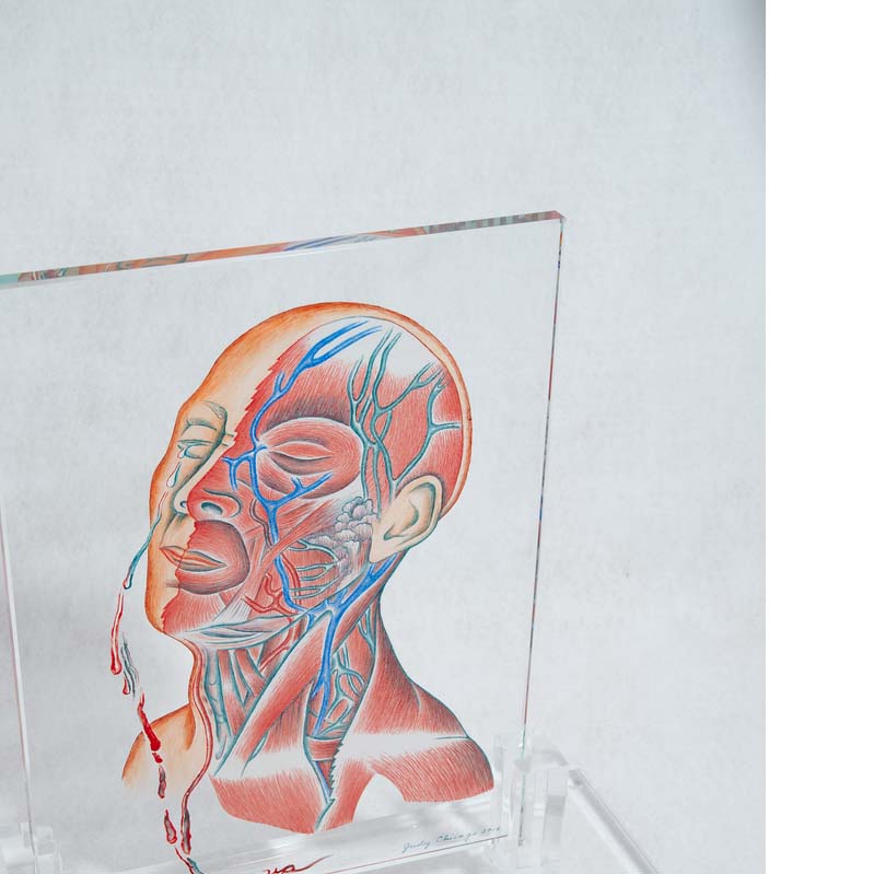 Painting of a head thrown back and crying on a clear glass rectangle on a clear plinth, where one half of the head reveals blood vessels