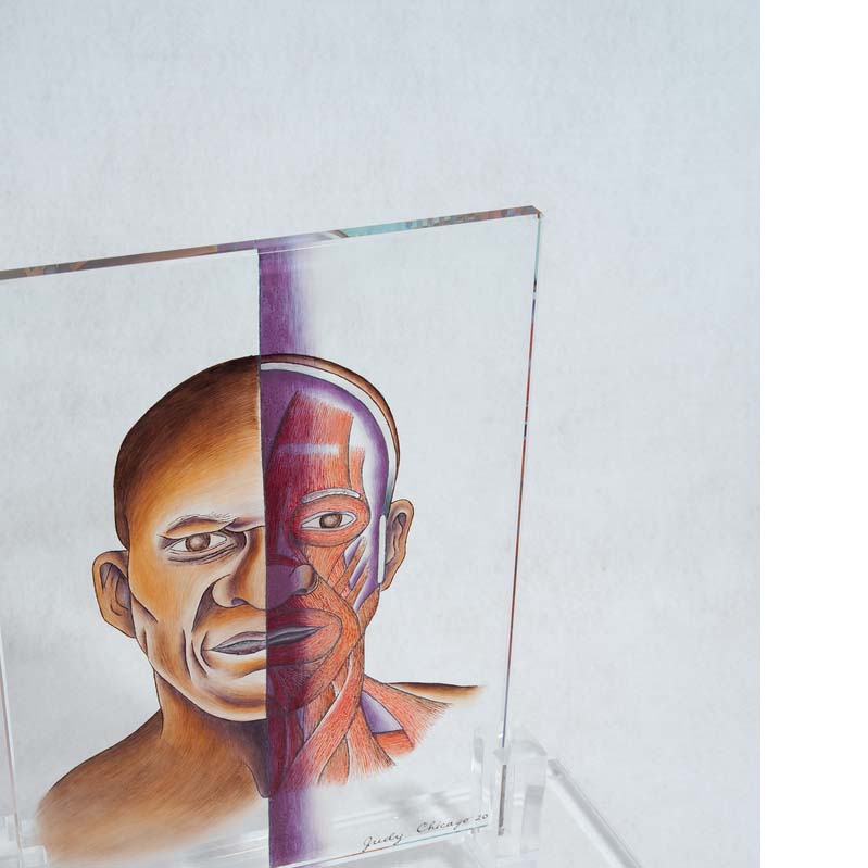 Painting on a clear glass rectangle of a head divided vertically in half to reveal the musculature on one side on a clear plinth