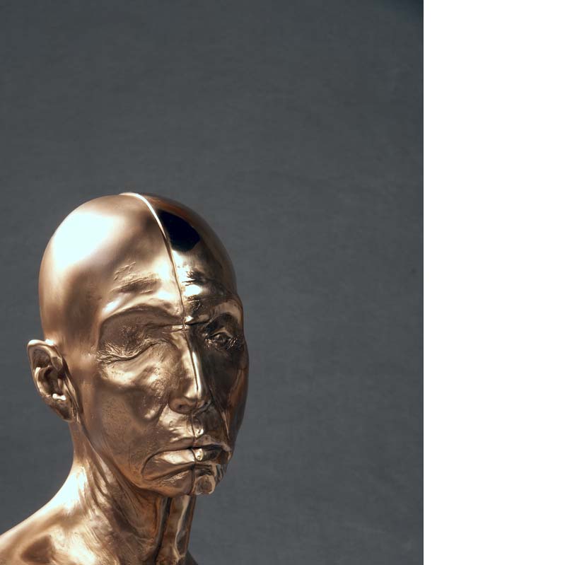 Sculpture in metallic gold of a bald head divided vertically in half where one half is lighter and the other is darker