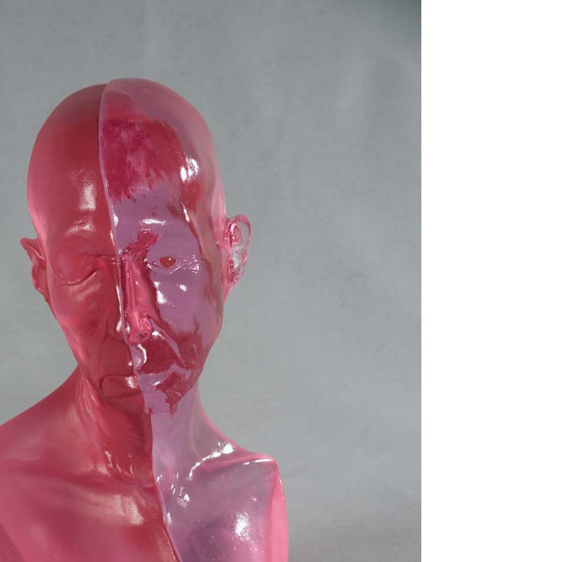 Sculpture of a translucent pink bald head divided vertically in half where one half is more translucent