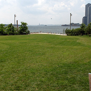 Color photograph of a large green lawn with a body of water and tall buildings in the distance