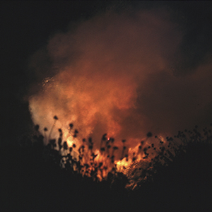 Color photograph of red and orange smoke rising from vegetation at night