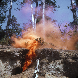 Color photograph of orange smoke rising from a cleft in the ground in a forest