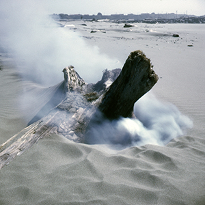 Color photograph of white smoke rising around a piece of driftwood on a beach