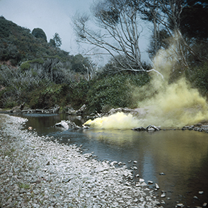 Color photograph of yellow smoke rising from a stream with trees on one side and a rocky shore on the other