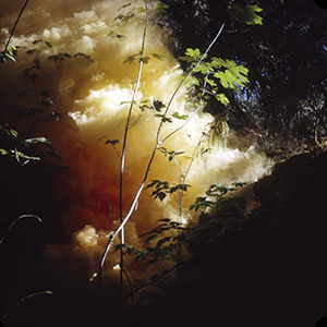 Color photograph of yellow and orange smoke rising in a dark forest