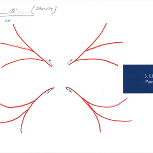 Drawing of red outlines in a flower-like shape with annotations in white text in a blue box on the right