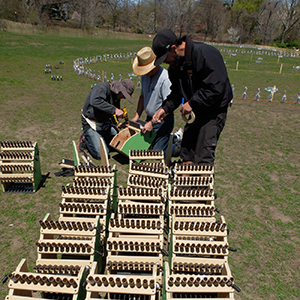 Color photograph of three people attaching rows of tubes to small, green wooden supports in a park with an installation outlined on the grass behind them