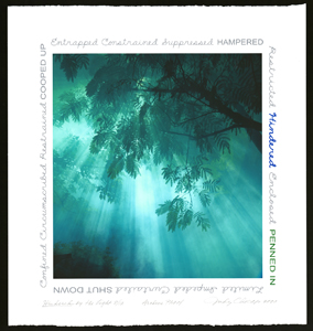 Print of light filtering through teal smoke and trees surrounded by text around the borders
